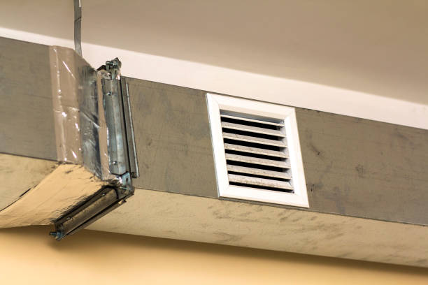 Best Air Duct Mold Removal  in Waipio, HI